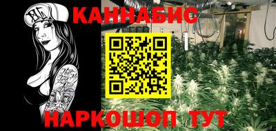 крисы Абакан