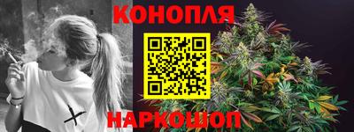 крисы Абакан