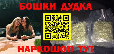 крисы Абакан