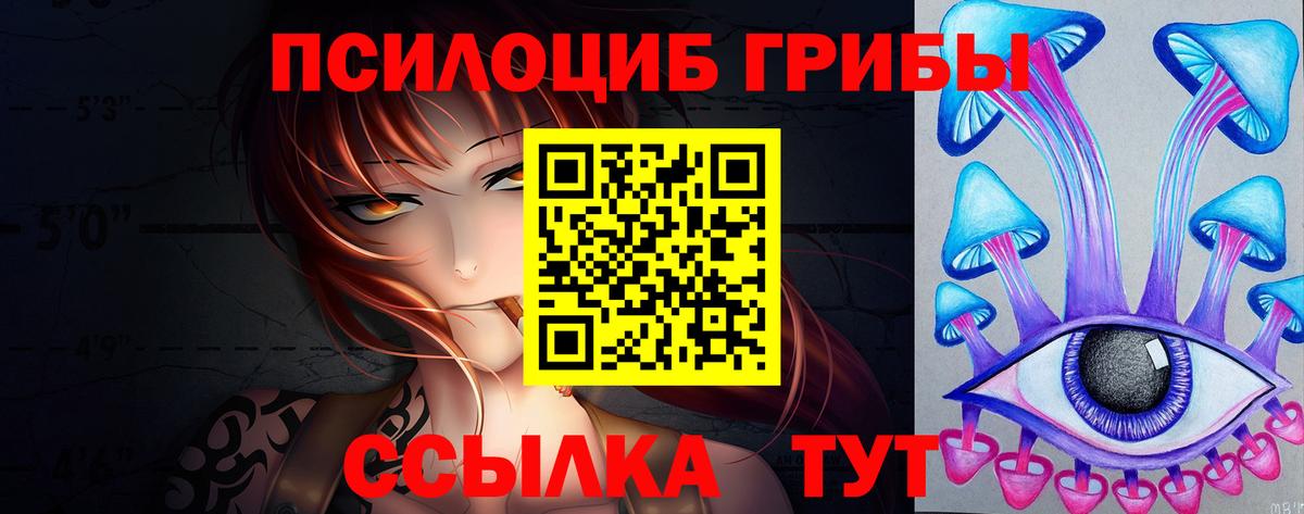 Псилоцибиновые грибы мицелий Алексеевка